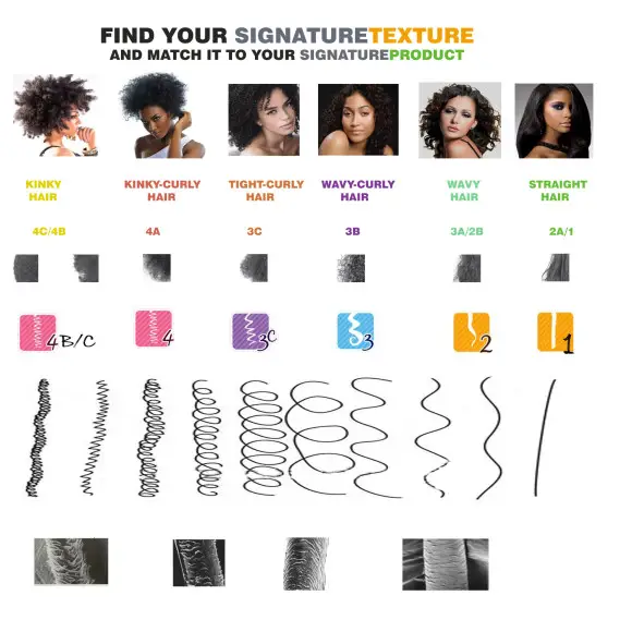 Natural Hair: Know Your Hair Type
