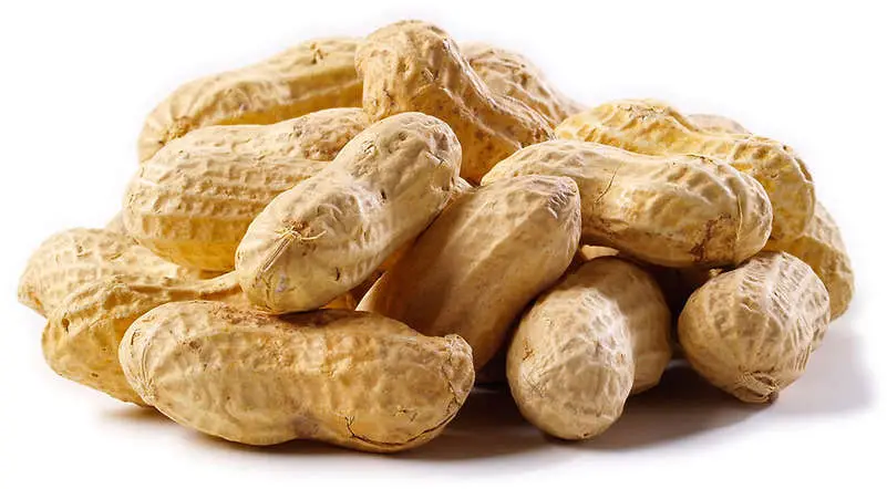 Nutty Benefits: Why You Should Eat Groundnuts