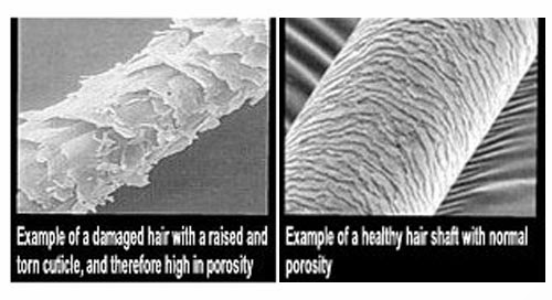 hair porosity2-amillionstyles