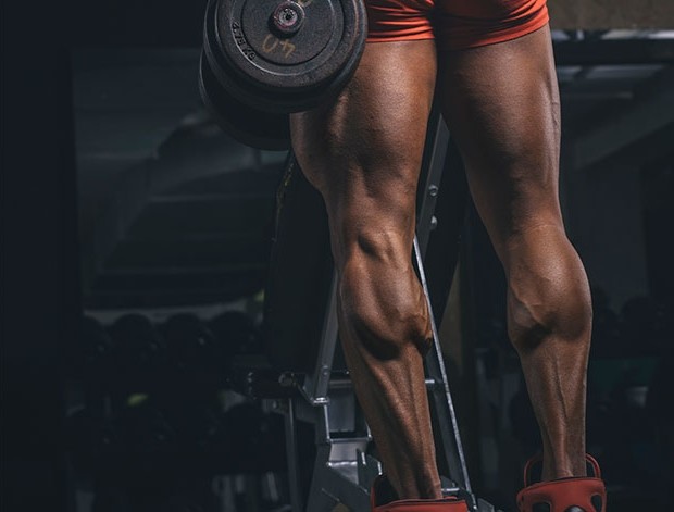 Why You Should Never Skip Leg Day