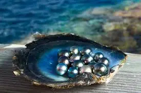 pearls jewelry