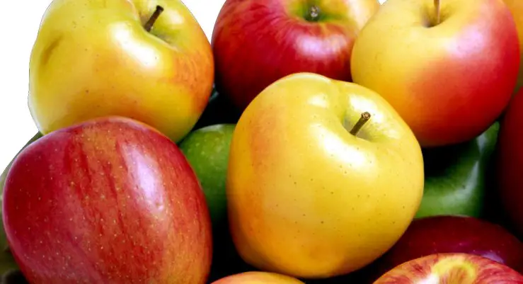 Why an Apple a Day Keeps the Doctor Away
