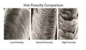 Hair Porosity: What Does It Mean?