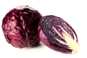 Cabbage In, Cabbage Out