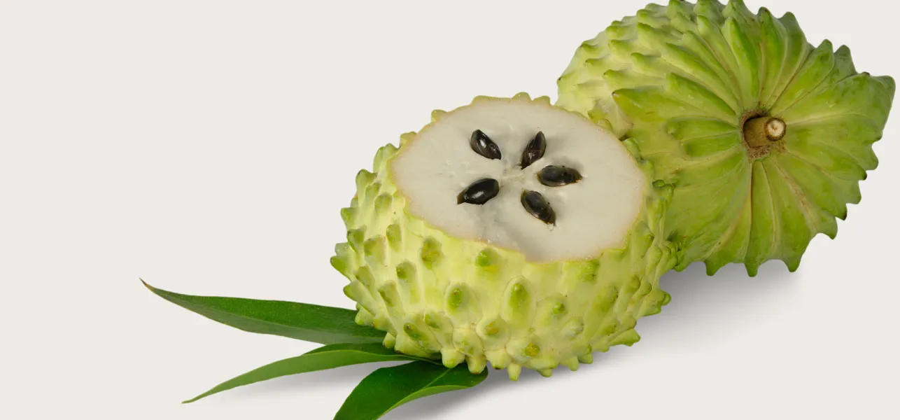 The Amazing Soursop Fruit