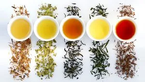 Drinking These Types of Tea Can Make You Loose Weight.