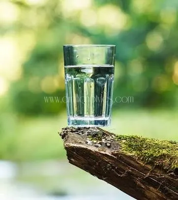 Ten Reasons Why You Should Drink Water