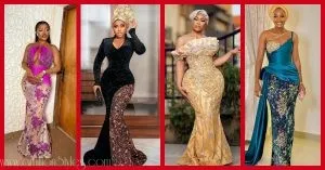 Exquisite Nigerian Lace Asoebi Styles-Volume 63
