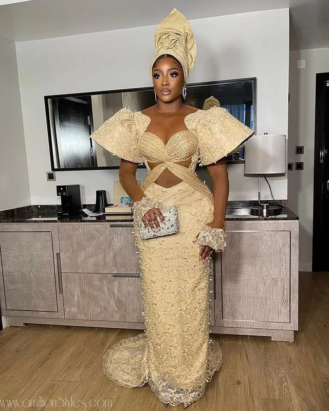 Nigerian Lace Asoebi Styles For Women Volume 1