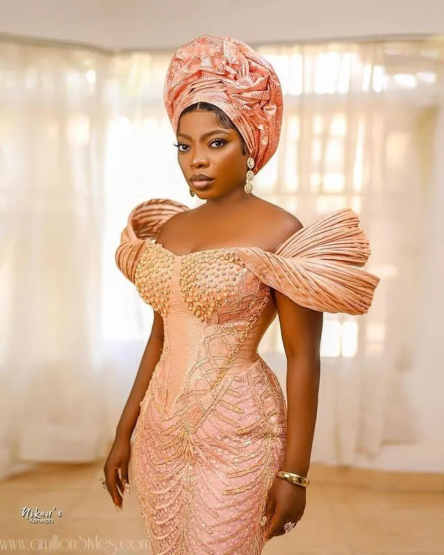 Nigerian Lace Asoebi Styles For Women- Volume 13