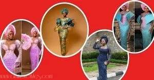 Nigerian Lace Asoebi Styles For Women- Volume 24